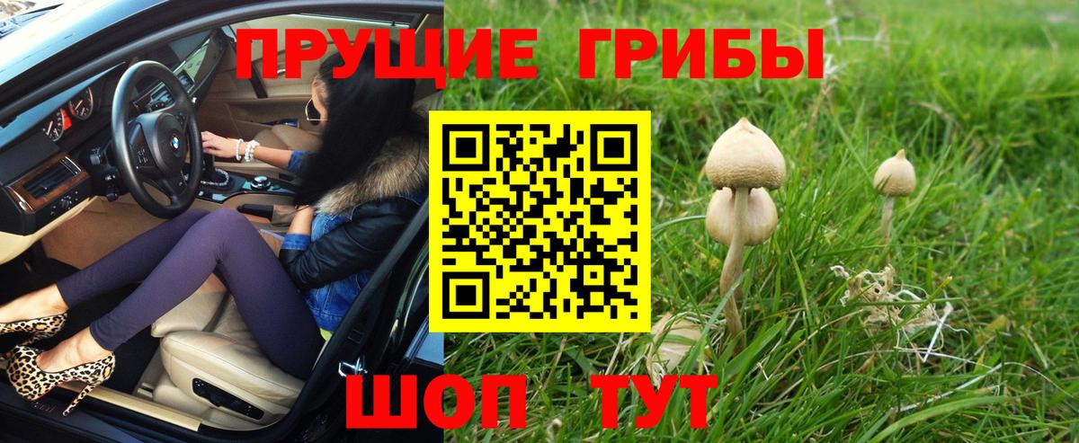 Псилоцибиновые грибы Cubensis Изобильный